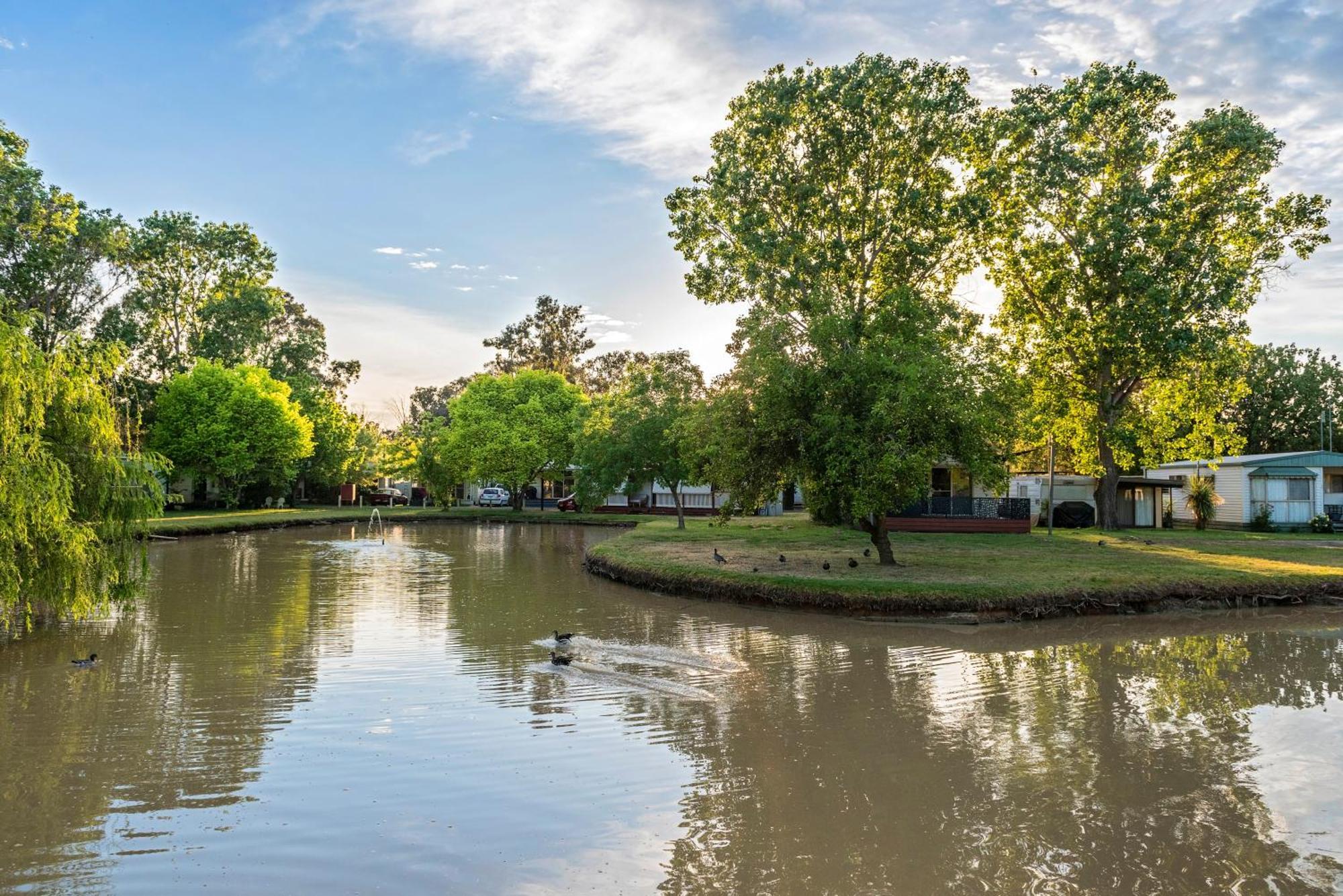 Discovery Parks - Maidens Inn Moama Luaran gambar